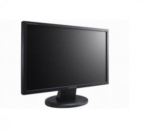 Computer monitor information for Kides