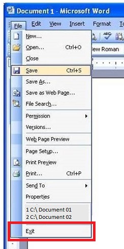 Exit MS word Document