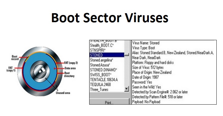 Computer Boot Sector Viruses