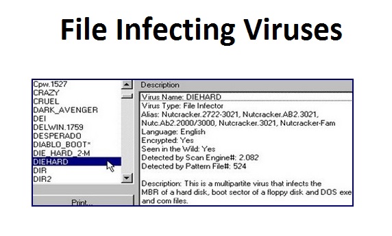 computer File Infecting Viruses 