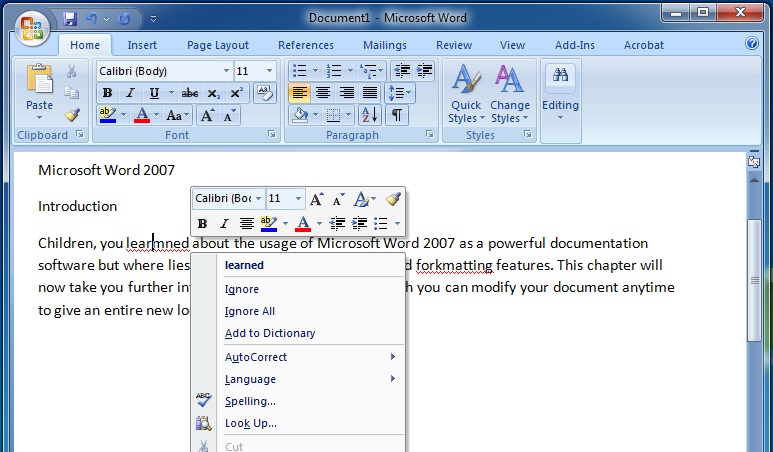 Editing Text in Microsoft Word 2007 Spellings and Grammar